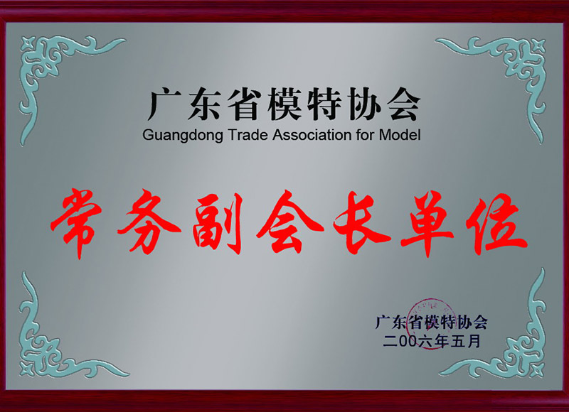 模特協會-常務副會長