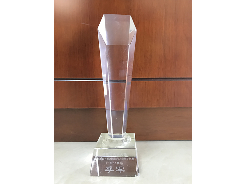 第五屆中國(guó)內(nèi)衣模特大賽廣東分賽區(qū)季軍